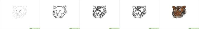 как нарисовать голову тигра поэтапный урок