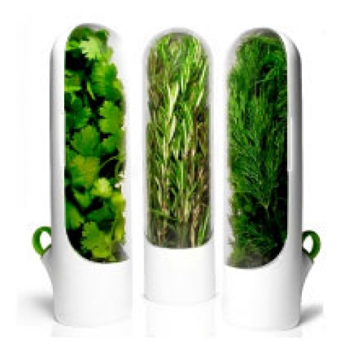 мини-витрины для хранения свежей зелени, как сохранить зелень в свежем виде