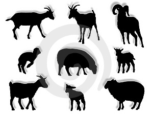 силуэты козы овцы