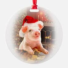 открытки с новогодней свиньей в образе Деда Мороза, большая подборка картинок с поросенком к Новому году 2019