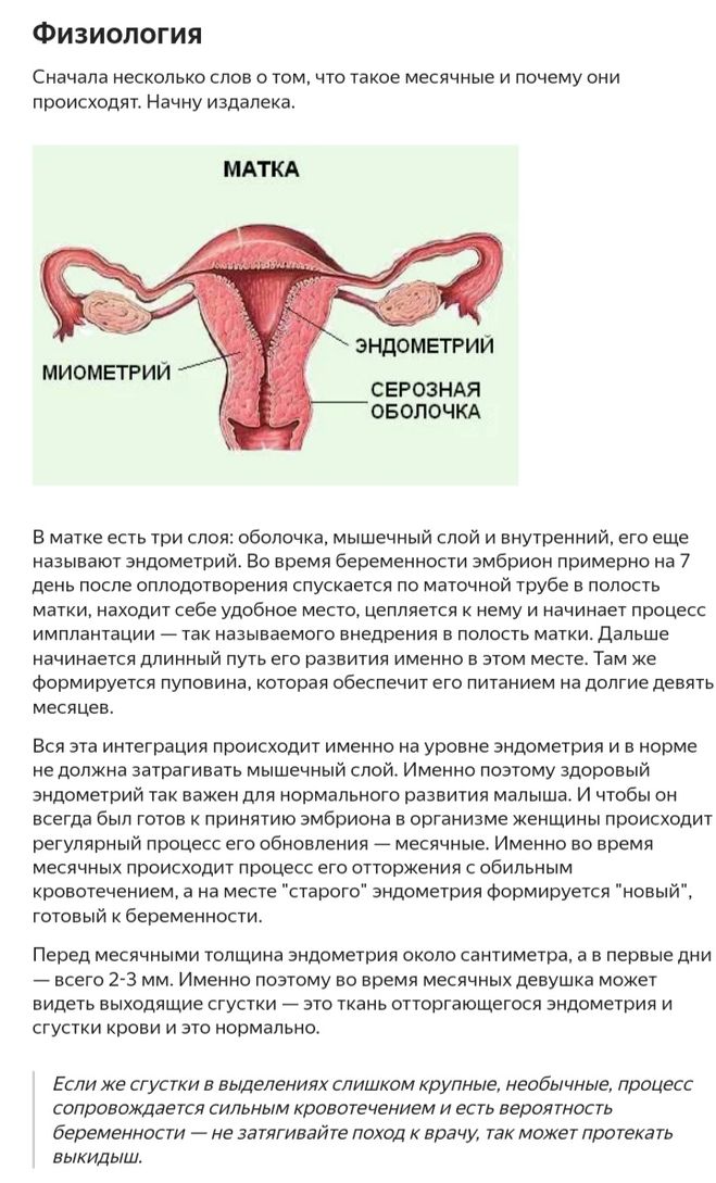 Физиология менструации