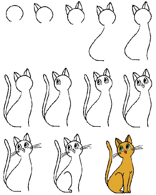 как рисовать кота