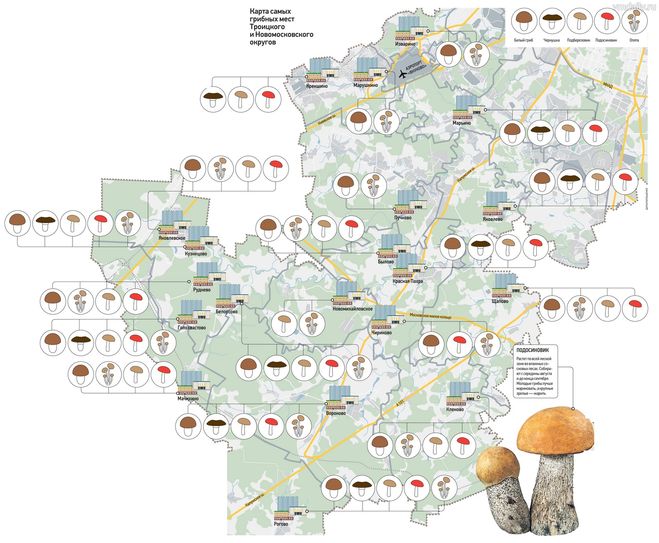 карты грибных мест Московской области