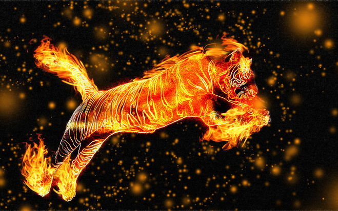 1986 год огненного тигра