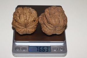 Сколько весит грецкий орех?