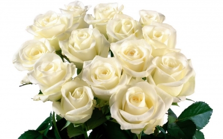 15 белых роз букет