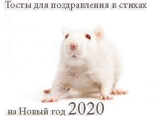 стихи-тосты для поздравления на Новый год 2020 Мыши (Крысы)
