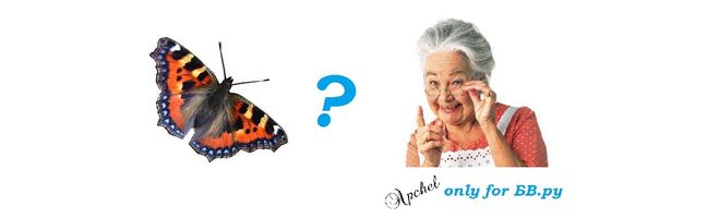 бабушка, бабочка, корень слова