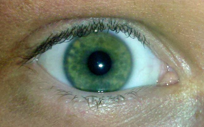 настоящие зеленые глаза