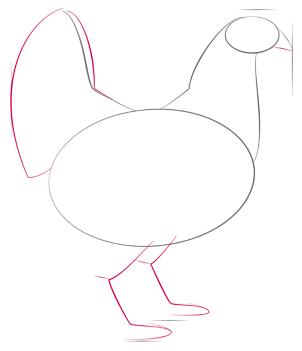 поэтапное рисование курицы
