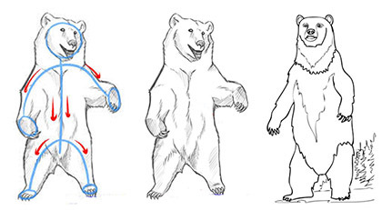 рисунок медведь поэтапно