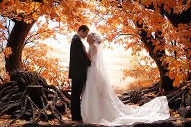 какие благоприятные дни свадьба ноябрь 2015