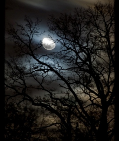 ночное небо акварелью