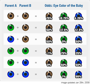 цвет глаз ребенка, вероятность