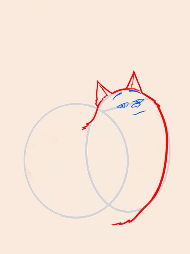 Как нарисовать кошку Хлою карандашом поэтапно
