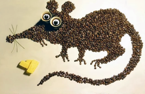 Мышь аппликацияиз кофейных зерен на Новый год 2020
