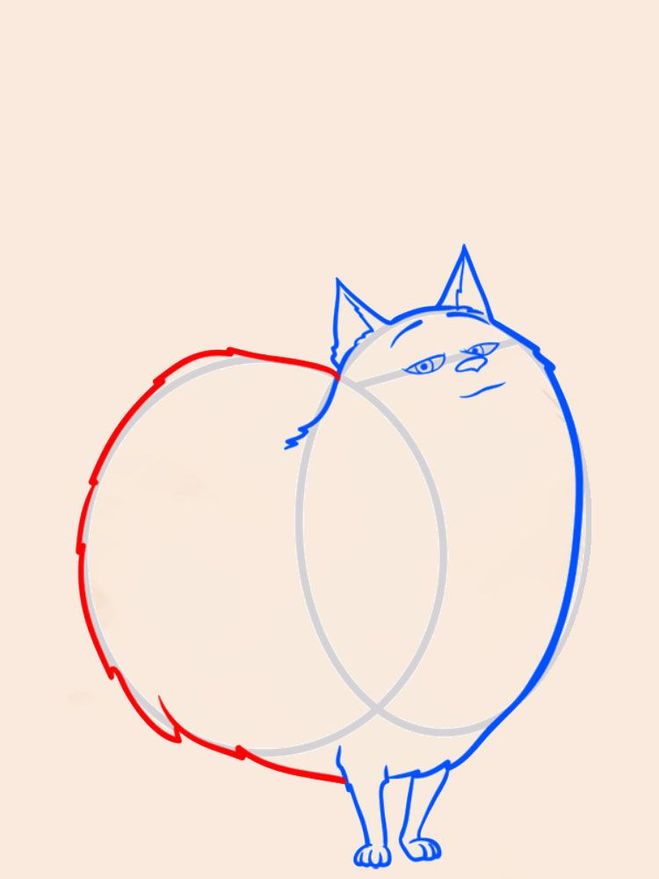 Как нарисовать кошку Хлою карандашом поэтапно