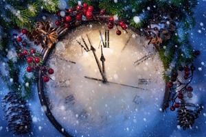 Какие есть синонимы к словам: ёлка, Дед Мороз, Новый год, Снегурочка?