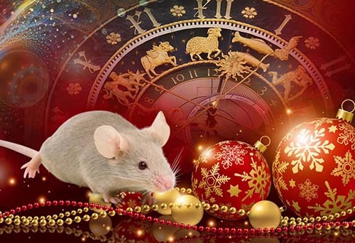 поздравление, открытки на Новый год Мыши, Крысы 2020