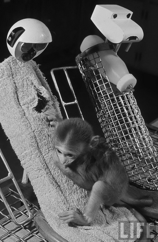 заменитель груди для обезьяны в экспериментах Гарри Харлоу