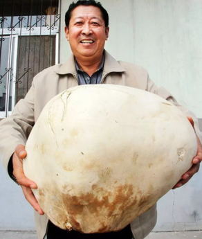 Это гриб, который выращен в Китае.