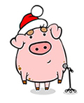 свинка в новогоднем образе