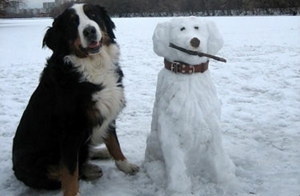 слепить, сделать собаку из снега