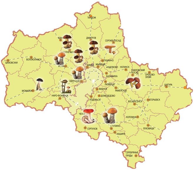 Карта грибных мест Московской области
