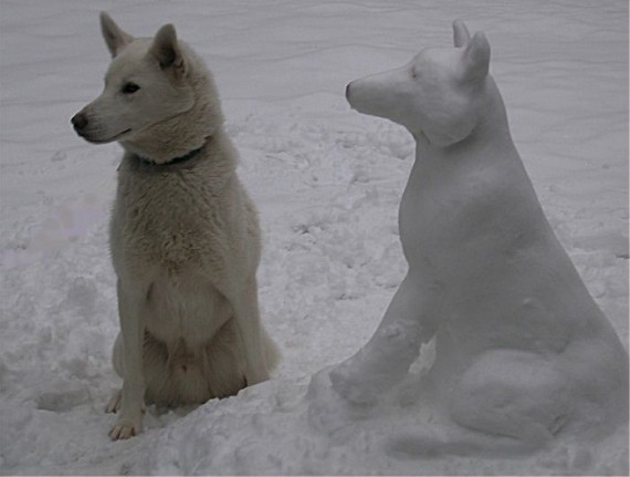 слепить, сделать собаку из снега