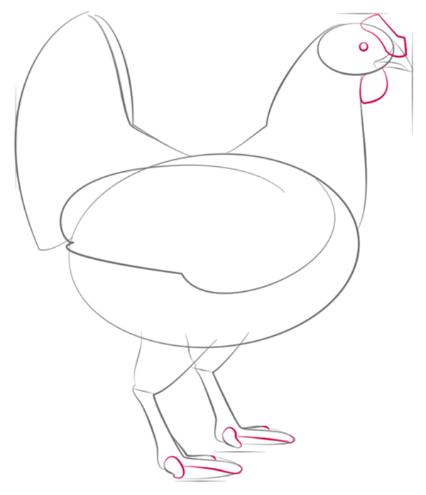 поэтапное рисование курицы