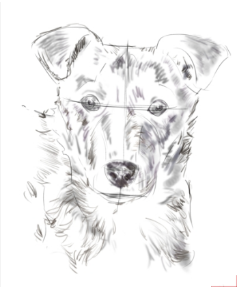 рисунок голосва собаки карандашом поэтапно