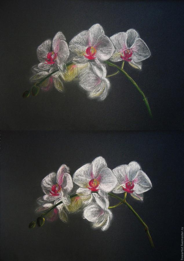 как нарисовать орхидею