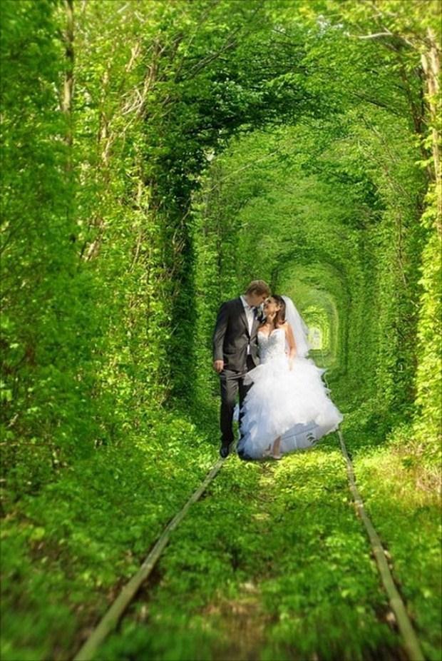 Свадьба в "Тоннеле любви