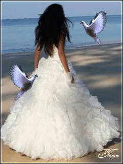Невеста; Свадьба; Свадебное платье