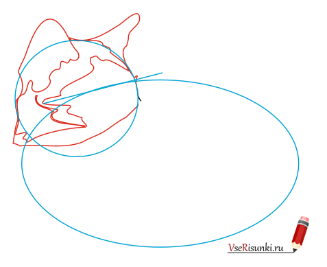 Как нарисовать сиамскую породу кошек thumbnail