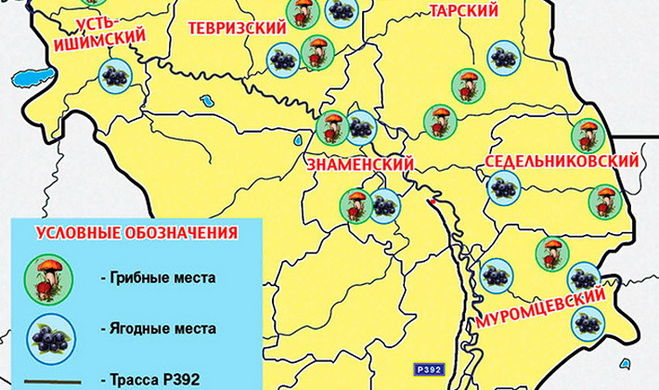Какая карта грибных мест Челябинской области 2019? Где смотреть?