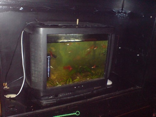аквариум из телевизора