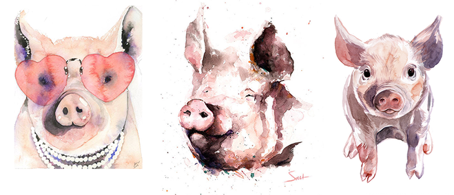 рисунки со свиньями, поросенком