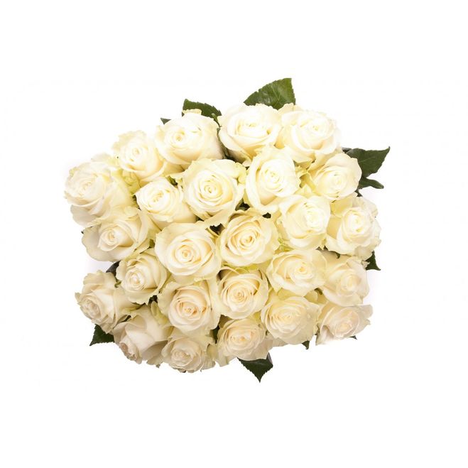 25 белых роз букет
