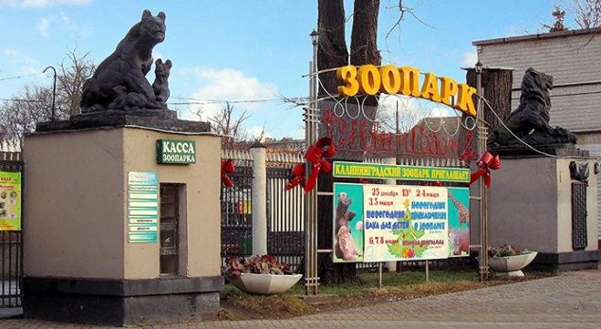 калининградский зоопарк