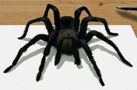 рисунок с пауком 3D