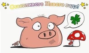 изображения  со свиньей и клевером, мухоморами для Нового года