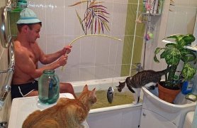 Как научить кошку ловить рыбу, чтобы брать ее с собой на рыбалку