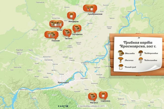 карта грибных мест Красноярского края