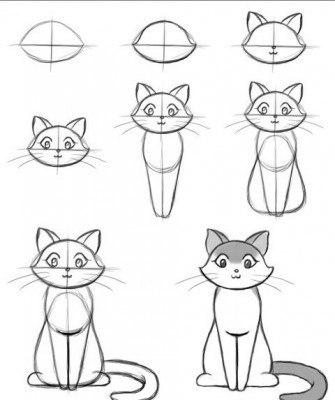 Как нарисовать сиамскую породу кошек