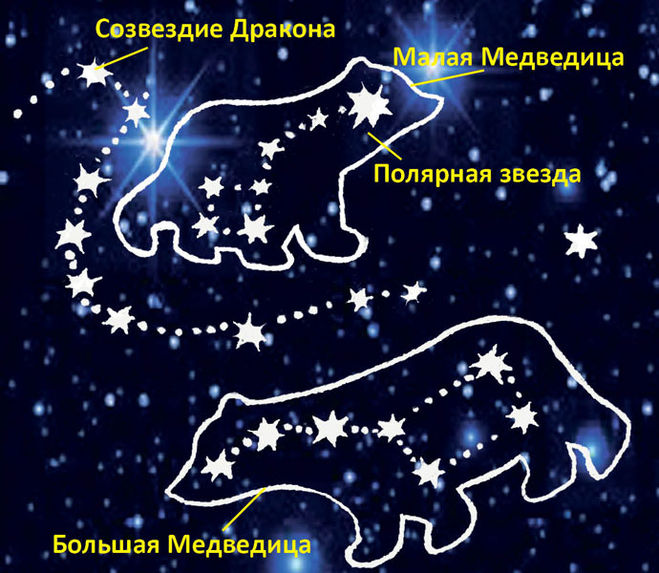 сколько звезд в созвездие большой медведицы