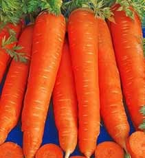 морковь во сне