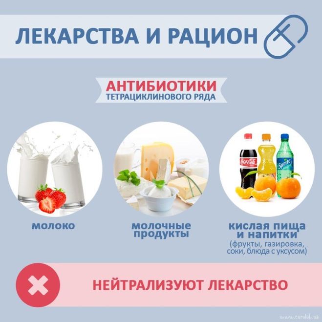 антибиотики и молоко совместимость