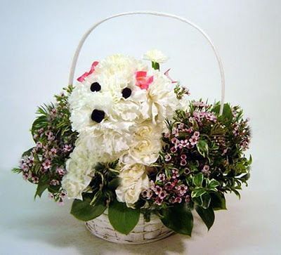 флористическая композиция в виде собаки