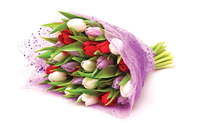букет из тюльпанов разных цветов